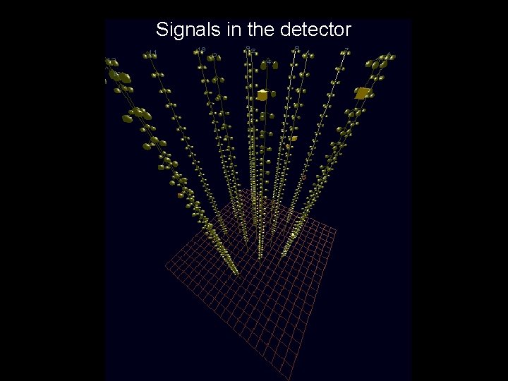 Signals in the detector 