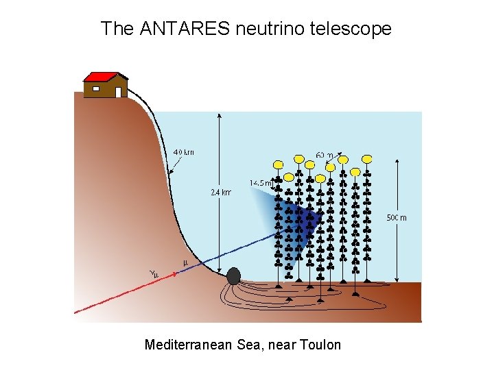 The ANTARES neutrino telescope Mediterranean Sea, near Toulon 