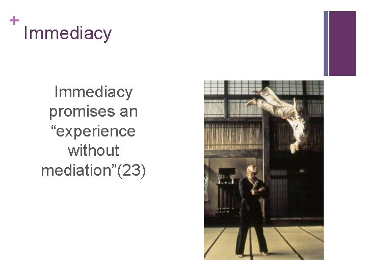 + Immediacy promises an “experience without mediation”(23) 