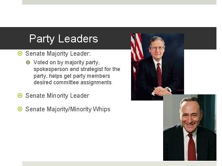 Party Leaders Senate Majority Leader: Voted on by majority party, spokesperson and strategist for