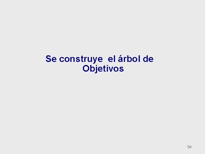 Se construye el árbol de Objetivos 54 