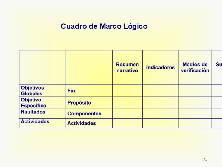 Cuadro de Marco Lógico 73 