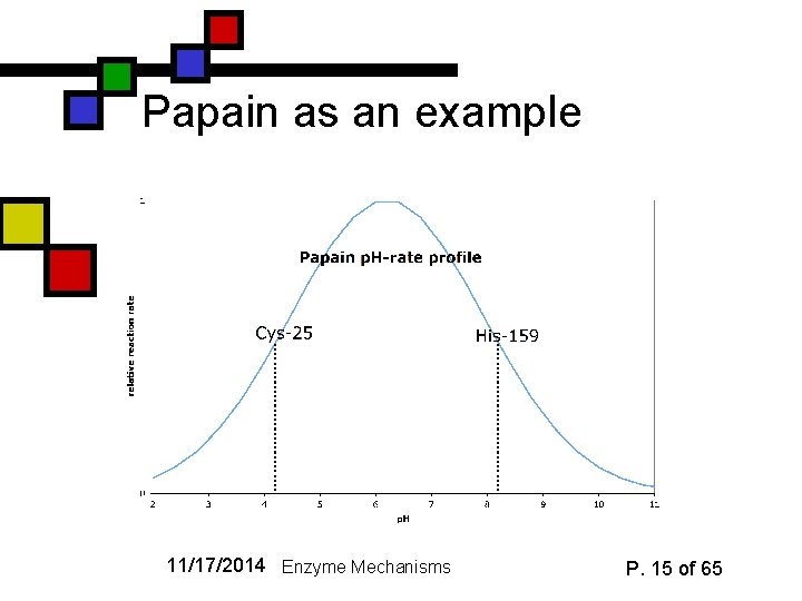 Papain as an example 11/17/2014 Enzyme Mechanisms P. 15 of 65 