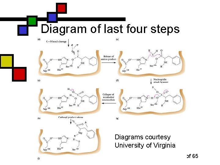 Diagram of last four steps Diagrams courtesy University of Virginia 11/17/2014 Enzyme Mechanisms P.