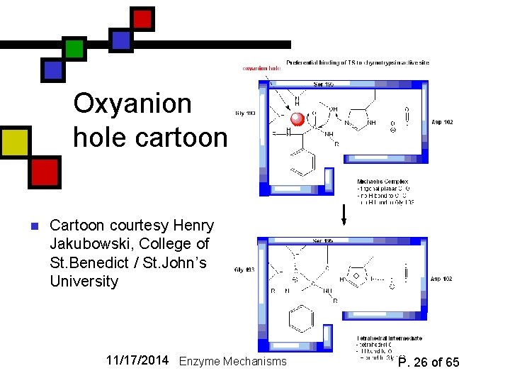 Oxyanion hole cartoon n Cartoon courtesy Henry Jakubowski, College of St. Benedict / St.