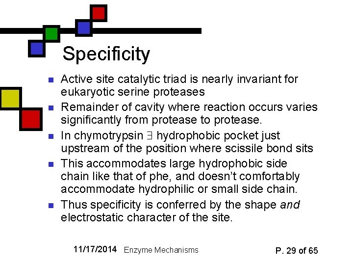 Specificity n n n Active site catalytic triad is nearly invariant for eukaryotic serine