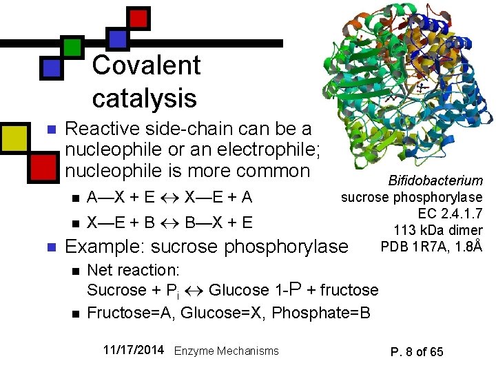 Covalent catalysis n n Reactive side-chain can be a nucleophile or an electrophile; nucleophile