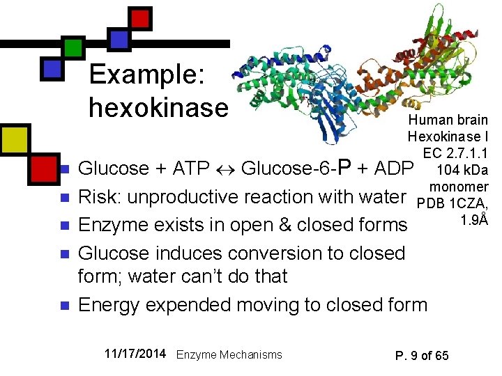 Example: hexokinase Human brain Hexokinase I EC 2. 7. 1. 1 n Glucose +