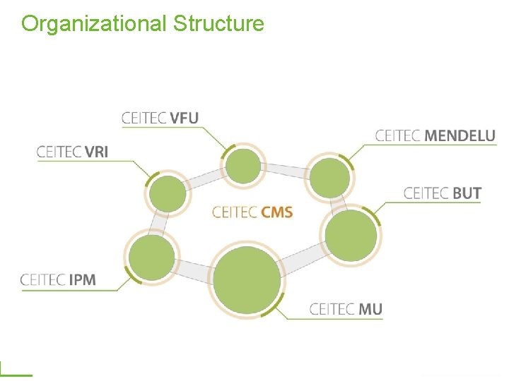 Organizational Structure 16 