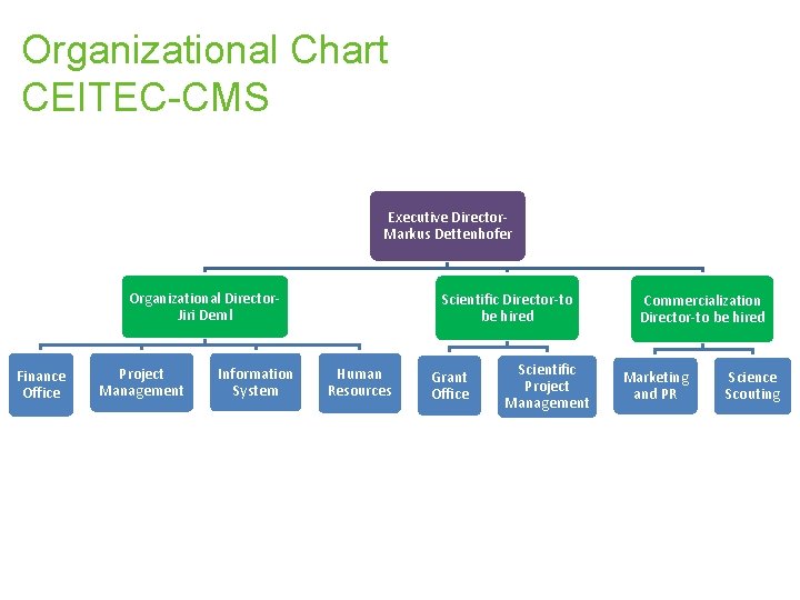 Organizational Chart CEITEC-CMS Executive Director. Markus Dettenhofer Organizational Director. Jiri Deml Finance Office Project