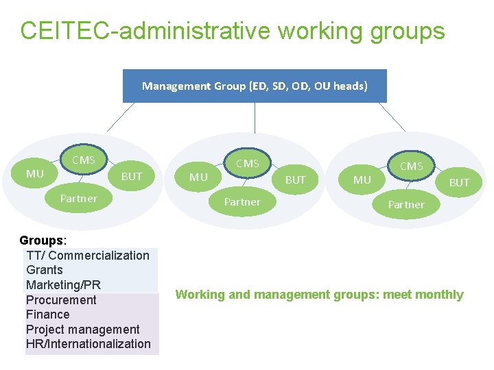  CEITEC-administrative working groups Management Group (ED, SD, OU heads) MU CMS BUT Partner