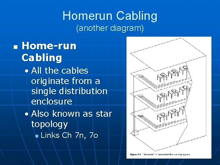 Homerun Cabling (another diagram) n Home-run Cabling • All the cables originate from a