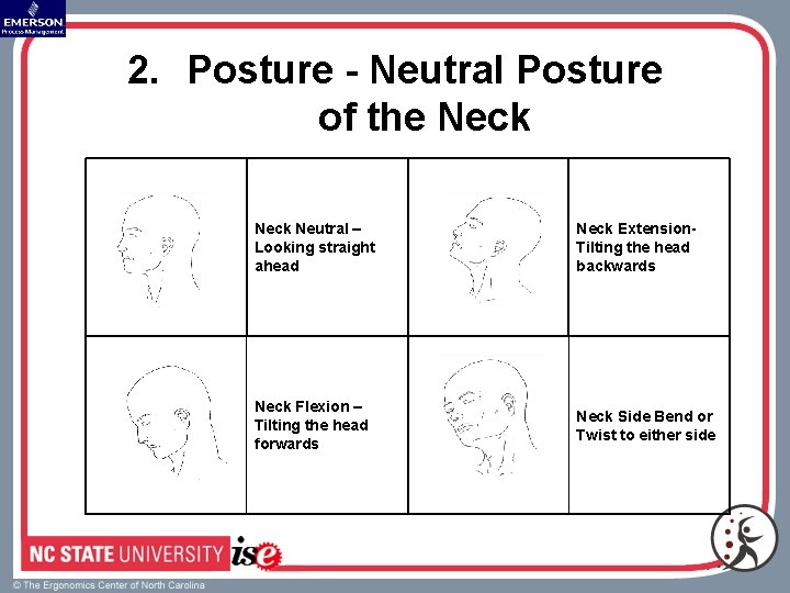 2. Posture - Neutral Posture of the Neck Neutral – Looking straight ahead Neck