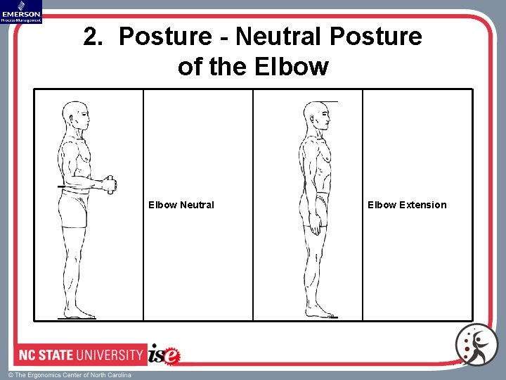 2. Posture - Neutral Posture of the Elbow Neutral Elbow Extension 
