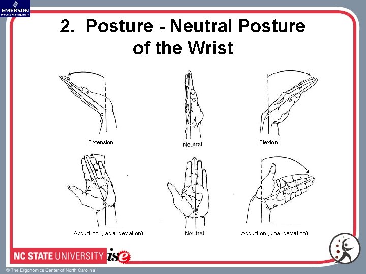 2. Posture - Neutral Posture of the Wrist Extension Abduction (radial deviation) Flexion Adduction