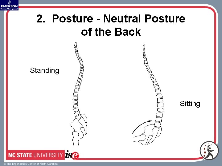 2. Posture - Neutral Posture of the Back Standing Sitting 