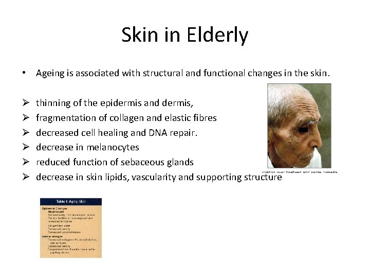 Skin in Elderly • Ageing is associated with structural and functional changes in the