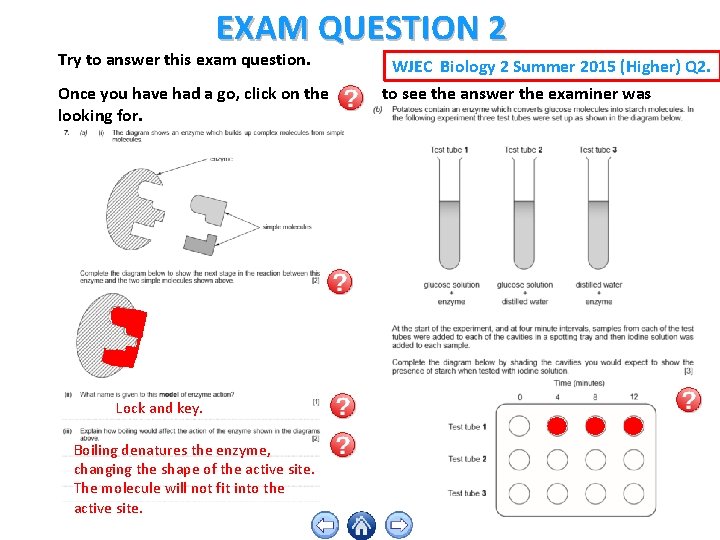 EXAM QUESTION 2 Try to answer this exam question. Once you have had a