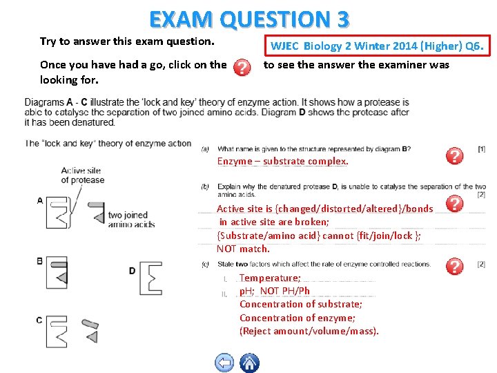 EXAM QUESTION 3 Try to answer this exam question. WJEC Biology 2 Winter 2014