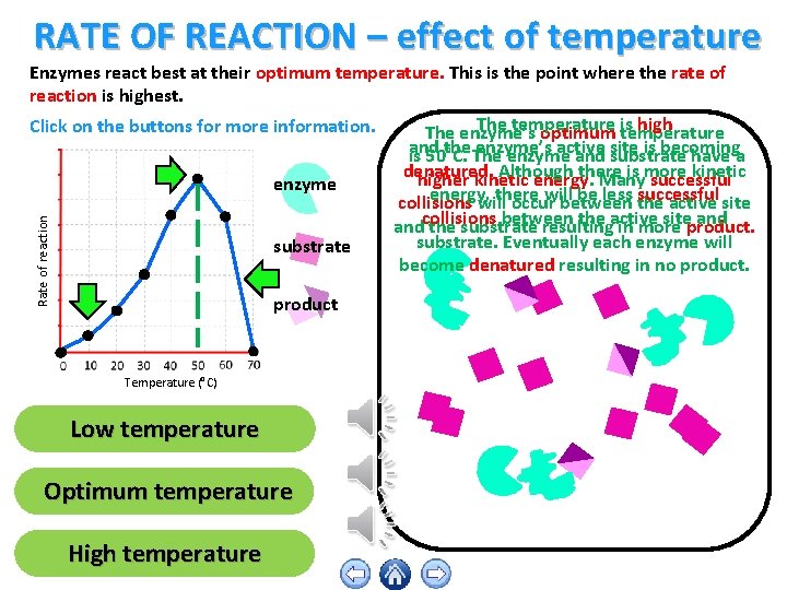 RATE OF REACTION – effect of temperature Rate of reaction Enzymes react best at