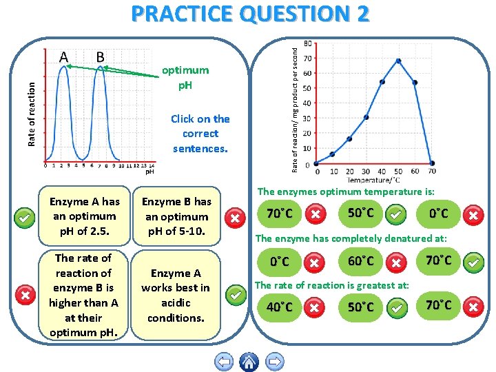 Rate of reaction/ mg product per second PRACTICE QUESTION 2 Rate of reaction optimum