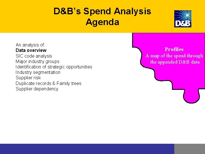 D&B’s Spend Analysis Agenda An analysis of: Data overview SIC code analysis Major industry D&B’s Spend Analysis Agenda An analysis of: Data overview SIC code analysis Major industry