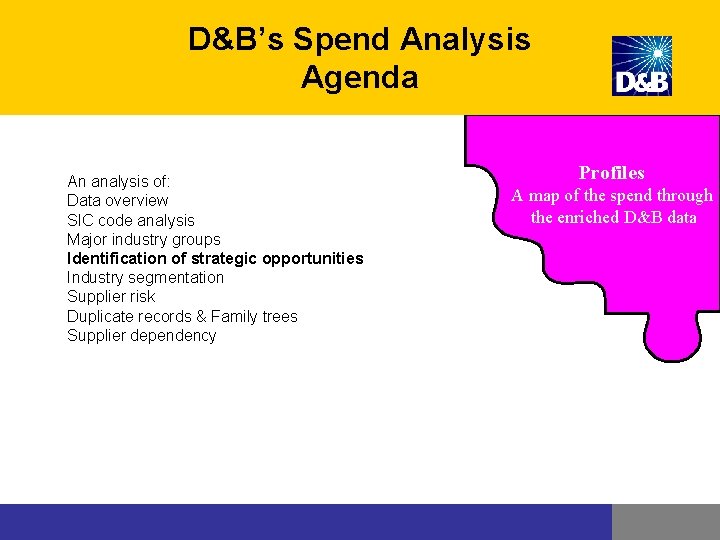 D&B’s Spend Analysis Agenda An analysis of: Data overview SIC code analysis Major industry D&B’s Spend Analysis Agenda An analysis of: Data overview SIC code analysis Major industry