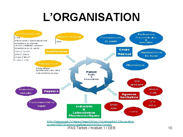 L’ORGANISATION http: //www. google. fr/imgres? imgurl=https: //corinnegobert. files. wordpre ss. com/2012/11/acteurs. png&imgrefurl=https: //corinn IFAS