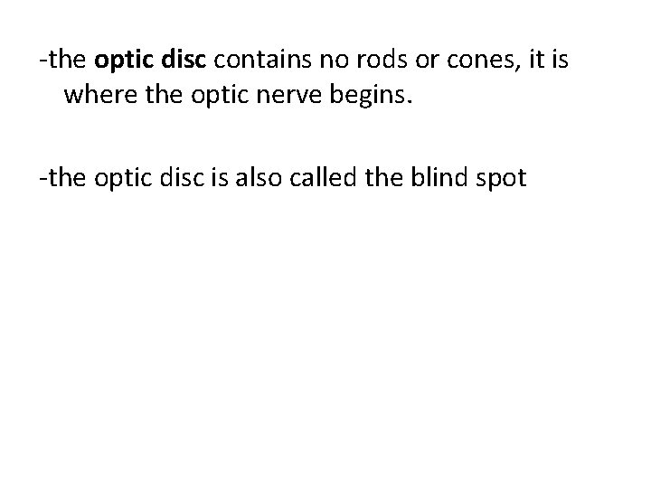 -the optic disc contains no rods or cones, it is where the optic nerve