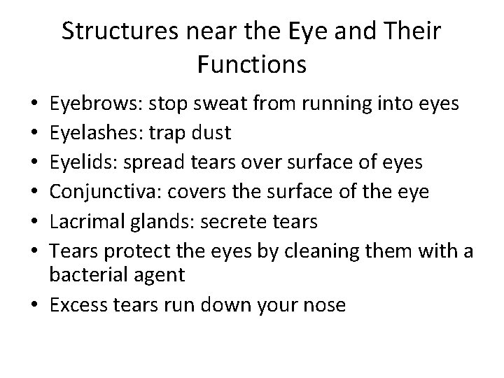 Structures near the Eye and Their Functions Eyebrows: stop sweat from running into eyes