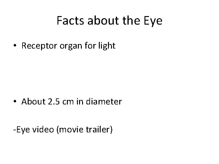 Facts about the Eye • Receptor organ for light • About 2. 5 cm