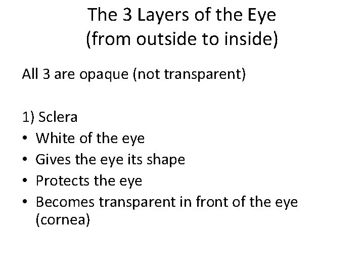 The 3 Layers of the Eye (from outside to inside) All 3 are opaque