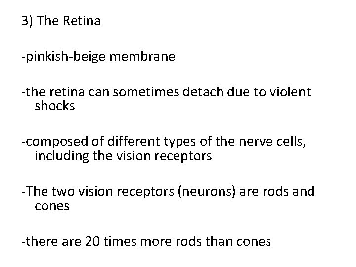 3) The Retina -pinkish-beige membrane -the retina can sometimes detach due to violent shocks