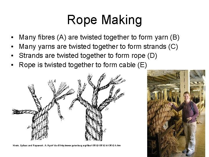 Rope Making • • Many fibres (A) are twisted together to form yarn (B)