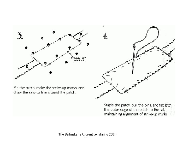 The Sailmaker’s Apprentice: Marino 2001 