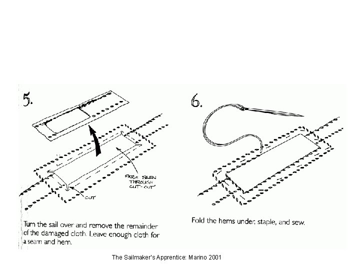 The Sailmaker’s Apprentice: Marino 2001 