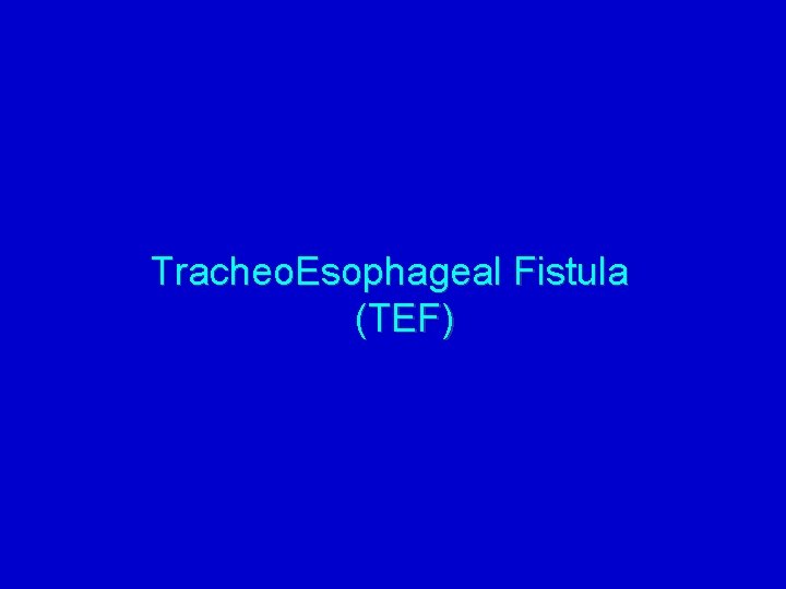 Tracheo. Esophageal Fistula (TEF) 