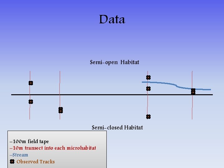 Data Semi-open Habitat Semi-closed Habitat – 100 m field tape – 10 m transect