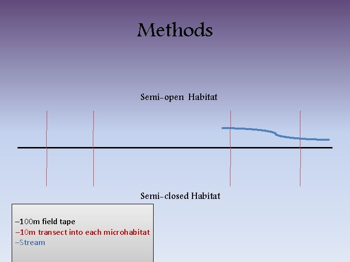 Methods Semi-open Habitat Semi-closed Habitat – 100 m field tape – 10 m transect