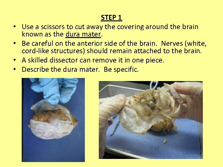  • • STEP 1 Use a scissors to cut away the covering around