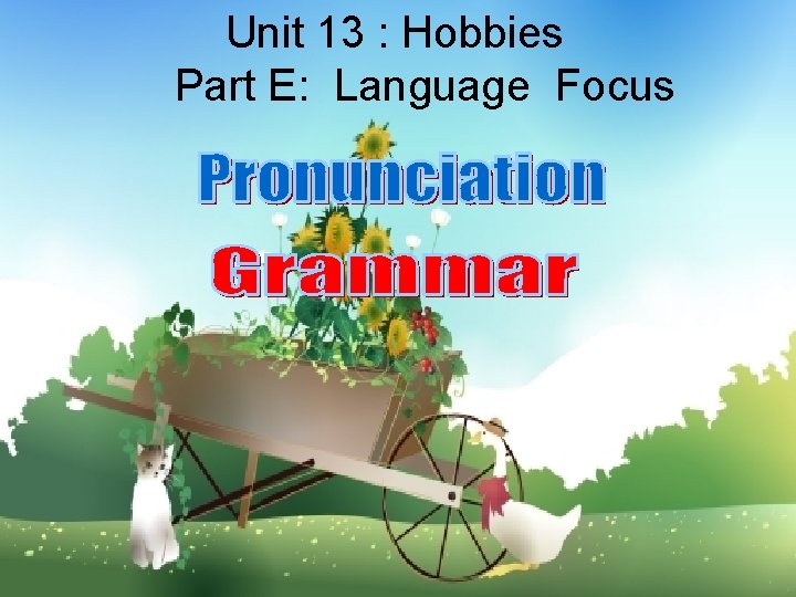 Unit 13 : Hobbies Part E: Language Focus 