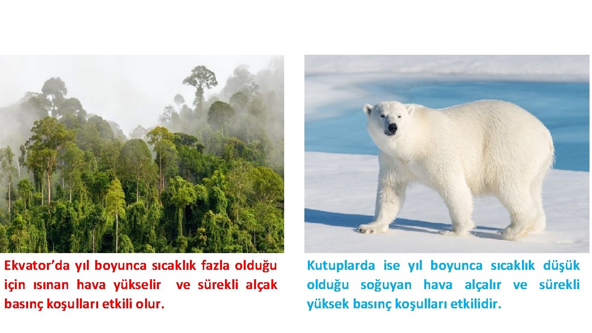Ekvator’da yıl boyunca sıcaklık fazla olduğu için ısınan hava yükselir ve sürekli alçak basınç Ekvator’da yıl boyunca sıcaklık fazla olduğu için ısınan hava yükselir ve sürekli alçak basınç