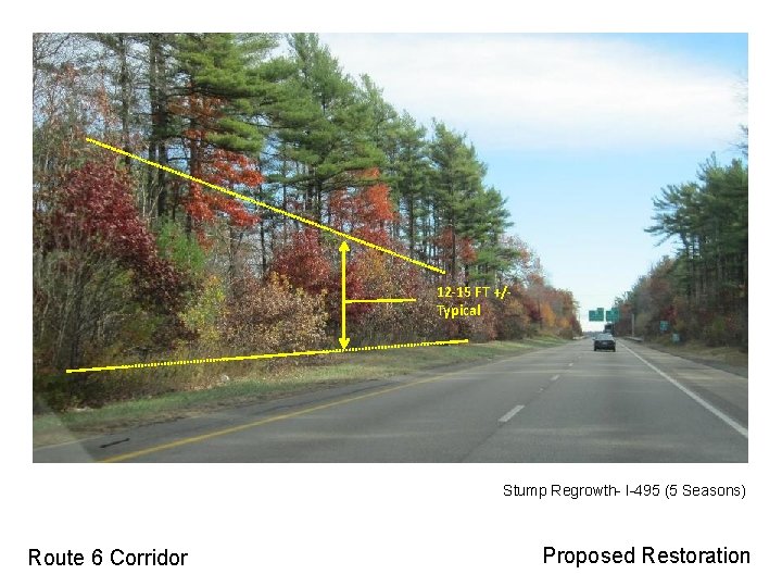 12 -15 FT +/Typical Stump Regrowth- I-495 (5 Seasons) Route 6 Corridor Proposed Restoration 12 -15 FT +/Typical Stump Regrowth- I-495 (5 Seasons) Route 6 Corridor Proposed Restoration