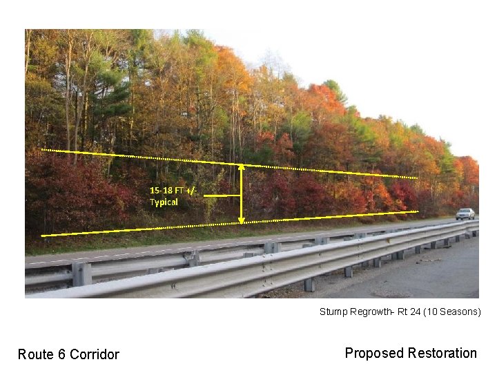 15 -18 FT +/Typical Stump Regrowth- Rt 24 (10 Seasons) Route 6 Corridor Proposed