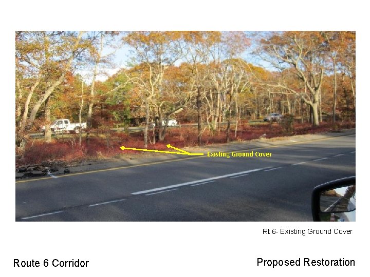 Existing Ground Cover Rt 6 - Existing Ground Cover Route 6 Corridor Proposed Restoration Existing Ground Cover Rt 6 - Existing Ground Cover Route 6 Corridor Proposed Restoration