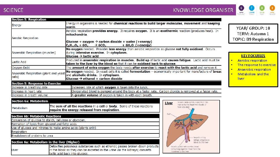 SCIENCE KNOWLEDGE ORGANISER YEAR/ GROUP: 10 TERM: Autumn 1 TOPIC: B 9 Respiration •