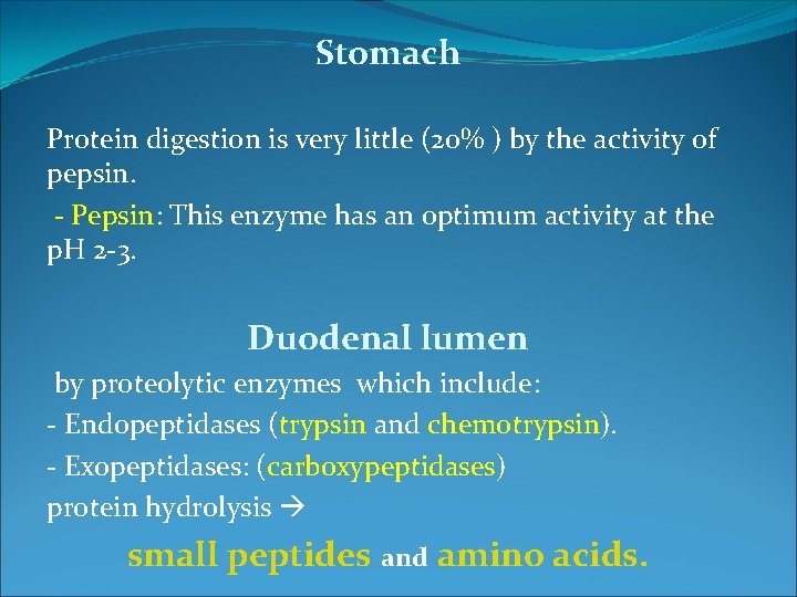 Stomach Protein digestion is very little (20% ) by the activity of pepsin. -