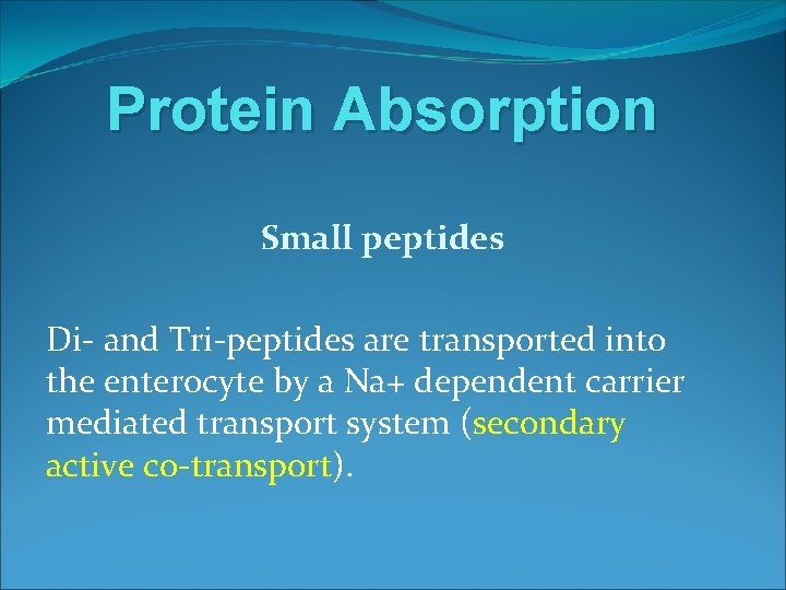 Protein Absorption Small peptides Di- and Tri-peptides are transported into the enterocyte by a