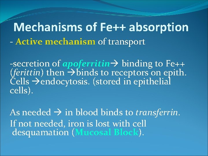 Mechanisms of Fe++ absorption - Active mechanism of transport -secretion of apoferritin binding to