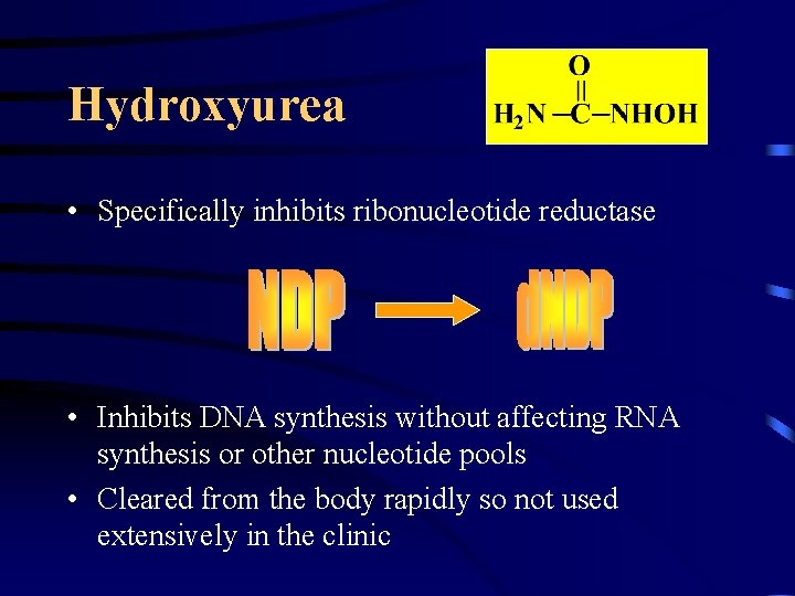 Hydroxyurea • Specifically inhibits ribonucleotide reductase • Inhibits DNA synthesis without affecting RNA synthesis